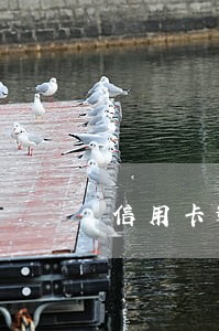 信用卡逾期 车分期付款吗